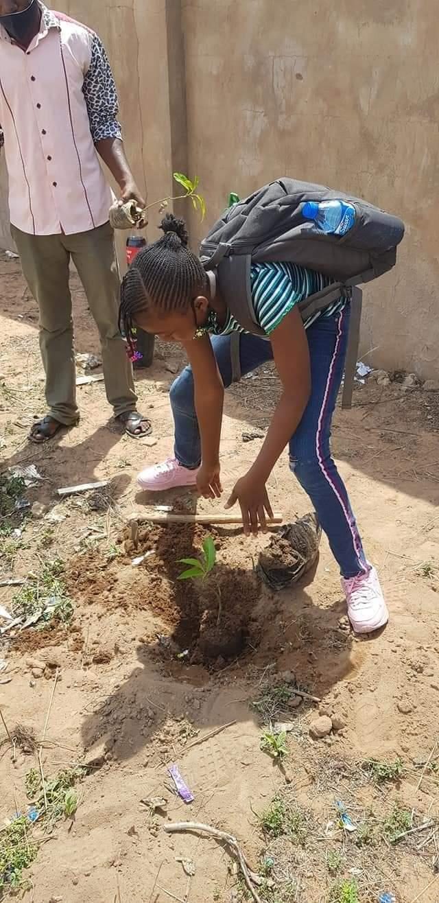 Guava Seedling Distribution (2,000 seedlings)