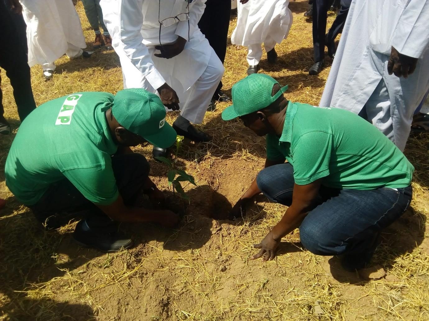 Governor Ahmadu Umaru Fintiri flags off the Green Adamawa Project, Government House, Yola, 2019