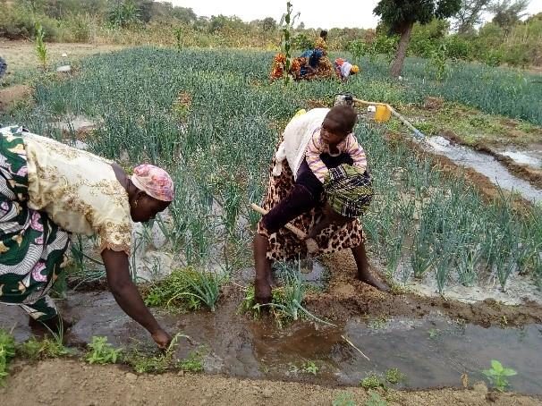 A community leader in Gombi LGA receives a power tiller, dry season farming support, 2018