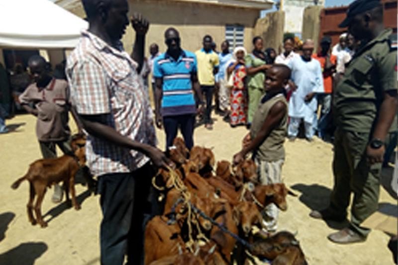 Livestock Support for Widows and Orphans